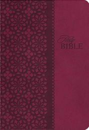 KJV King James Study Bible (Second Edition)-Cranberry LeatherSoft