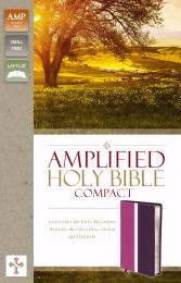 Amplified Holy Bible/Compact (Revised)-Dark Orchid/Deep Plum DuoTone