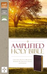 Amplified Holy Bible (Revised)-Burgundy Bonded Leather Indexed