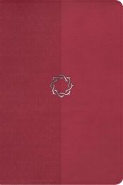 NKJV Essential Teen Study Bible-Rose LeatherSoft