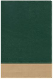 HCSB Teacher's Bible-Green/Tan LeatherTouch