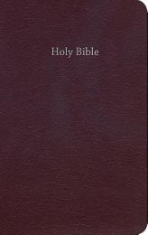 CEB Common English Bible Gift & Award Burgundy Red Letter Edition