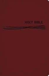 CEB Deep Blue Kids Bible Classic Burgundy