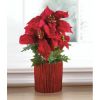 Faux Poinsettia Plant in Wood-Look Base